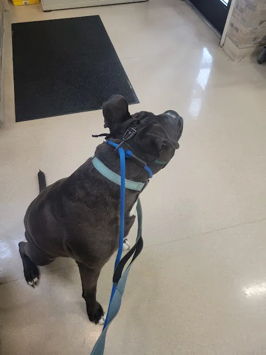 Harrisburg Pike Animal Hospital 12