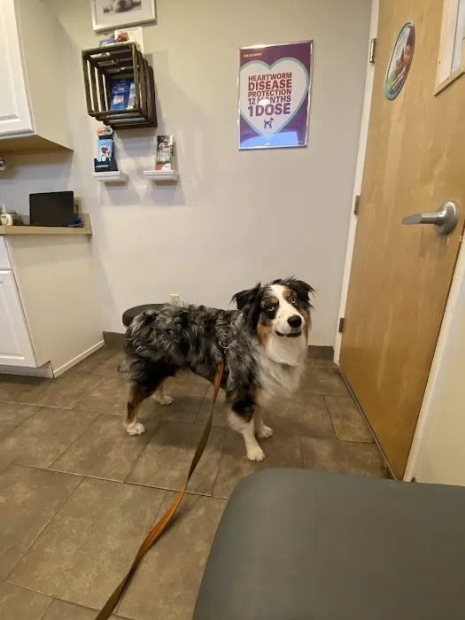 Happy Tails Animal Hospital 1