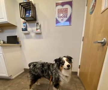 Happy Tails Animal Hospital