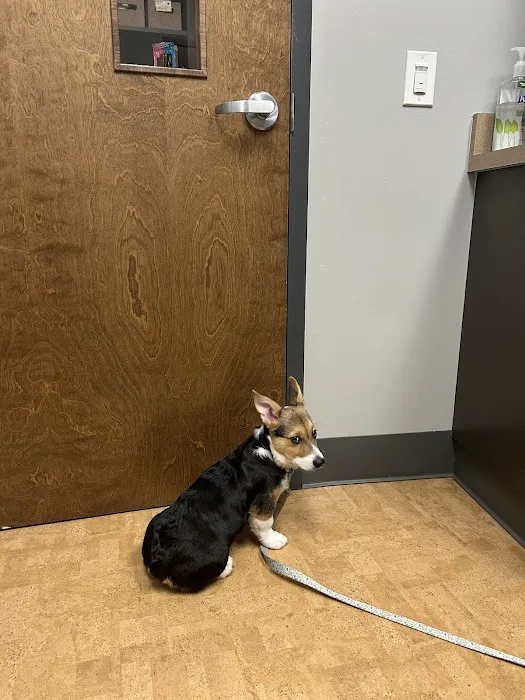 Manheim Pike Veterinary Hospital 12