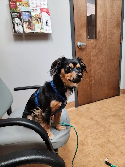 Manheim Pike Veterinary Hospital 12