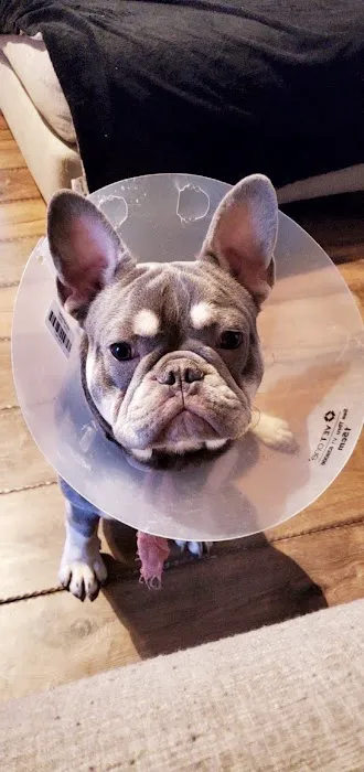 Banfield Pet Hospital 12