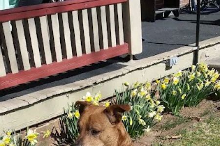 Lititz Veterinary Clinic