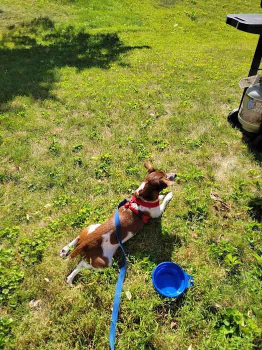 Warwick Run Animal Clinic 12