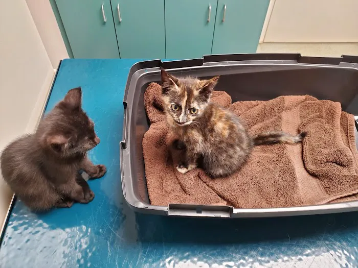 Warwick Run Animal Clinic 12