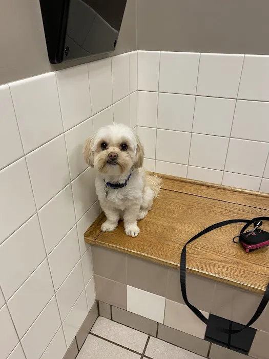 Patton Veterinary Hospital 12