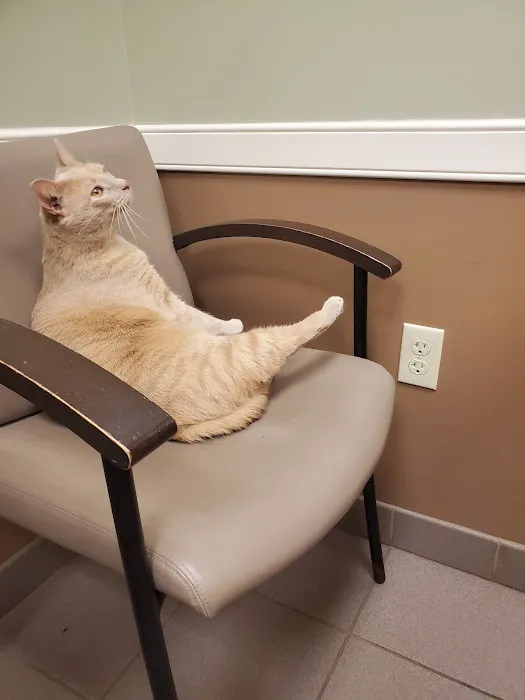Patton Veterinary Hospital 12