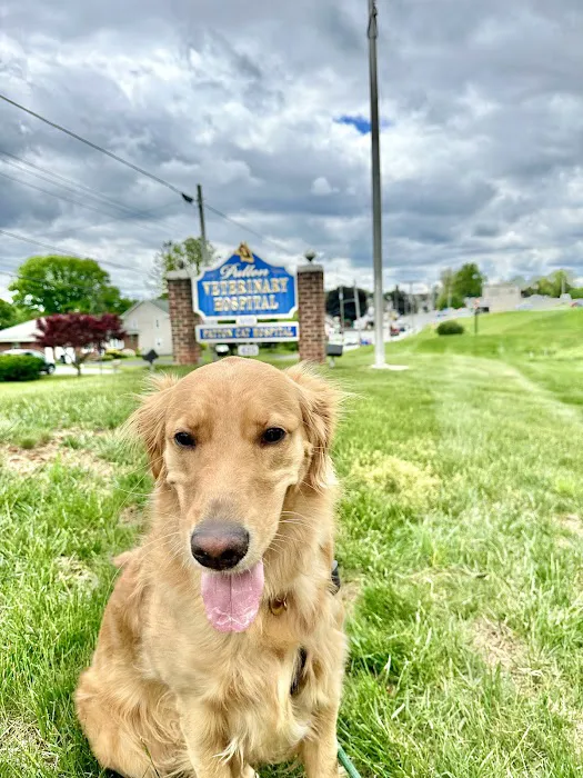 Patton Veterinary Hospital 12