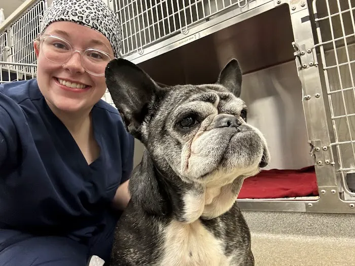 Patton Veterinary Hospital 12