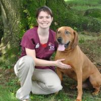 Conrad Weiser Animal Hospital ico