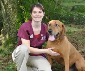Conrad Weiser Animal Hospital