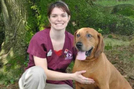 Conrad Weiser Animal Hospital