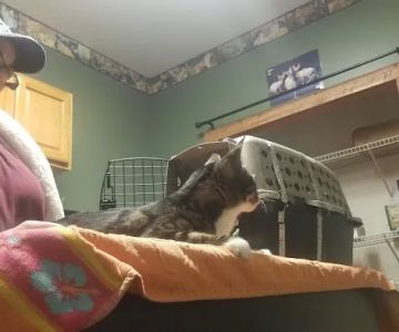 Eagles Peak Animal Clinic