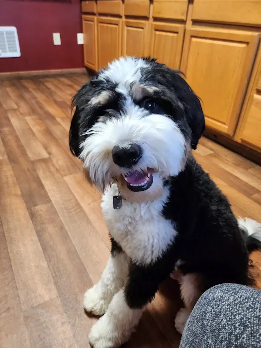 Eagles Peak Animal Clinic 12