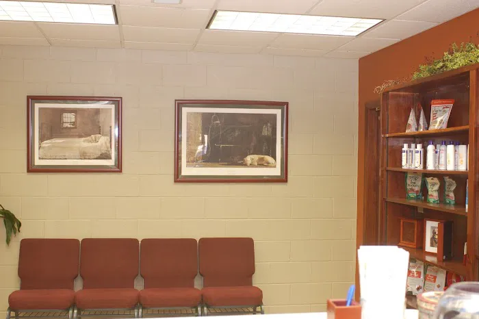 Vetcetera Pet Healthcare Centre 12
