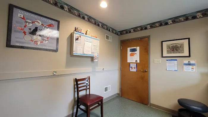 Peaceable Kingdom Animal Hospital 12