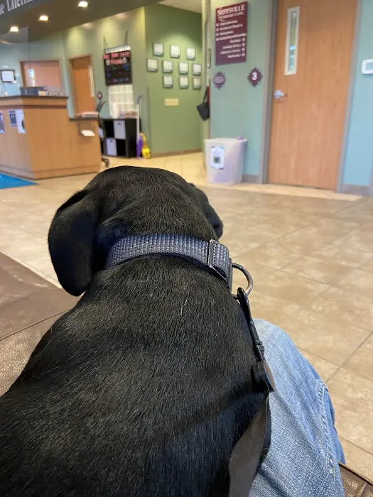 Neffsville Veterinary Clinic 12