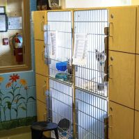 Neffsville Veterinary Clinic ico