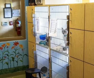 Neffsville Veterinary Clinic