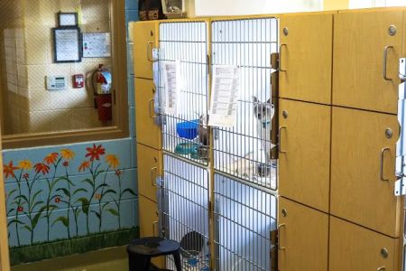 Neffsville Veterinary Clinic