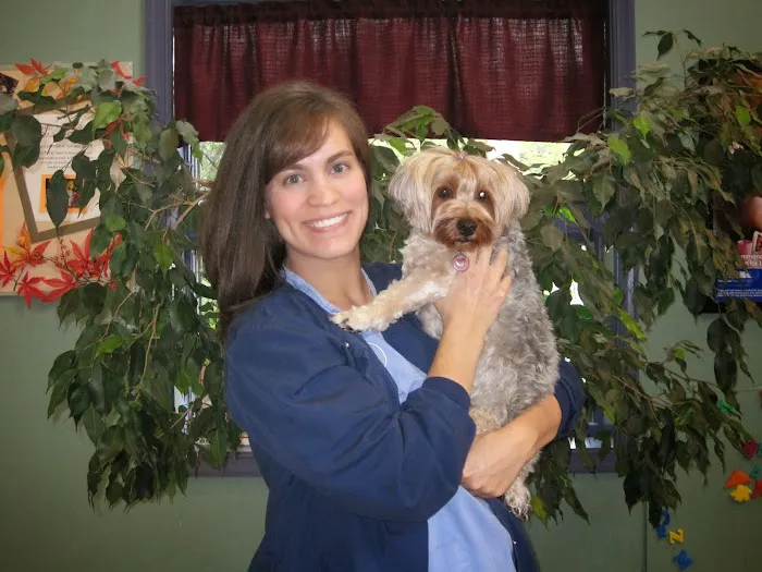 Mountain Shadow Veterinary Hospital 12