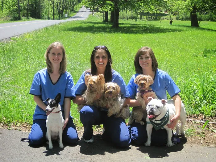 Mountain Shadow Veterinary Hospital 12