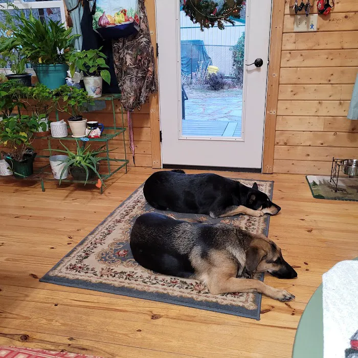 Mountain Shadow Veterinary Hospital 12