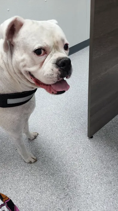 River Run Veterinary Hospital 1