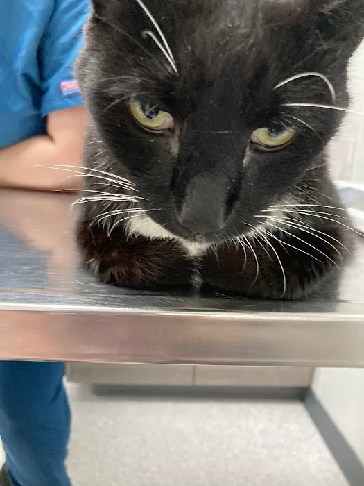 River Run Veterinary Hospital 10