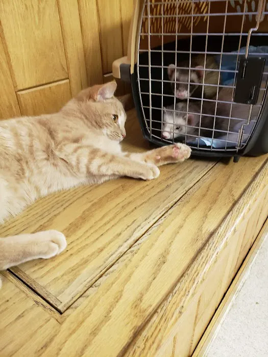Heart & Soul Pet Clinic/West Bend Animal Hospital 12