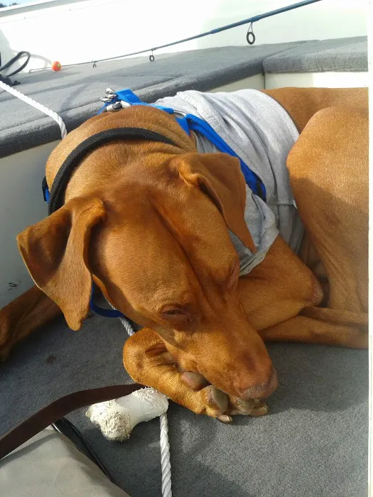 Heart & Soul Pet Clinic/West Bend Animal Hospital 12