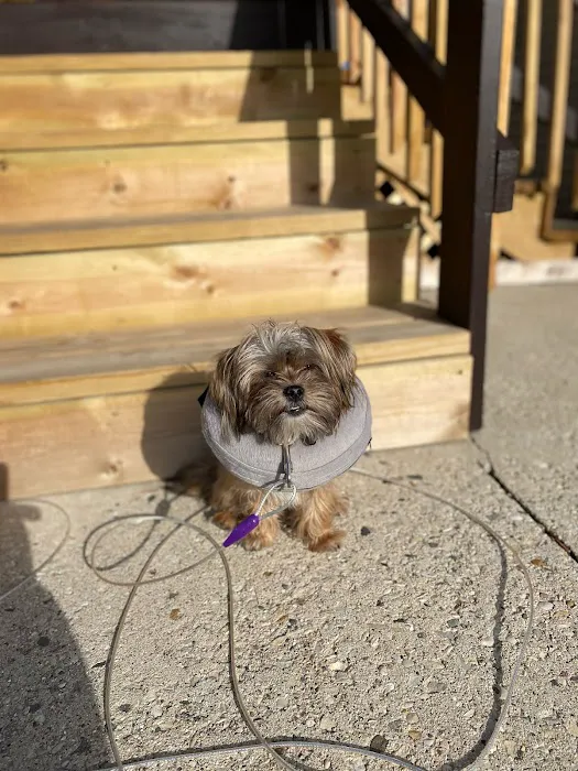 Parkdale Pet Care 12