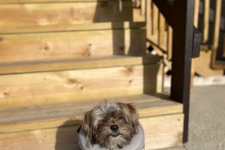 Parkdale Pet Care