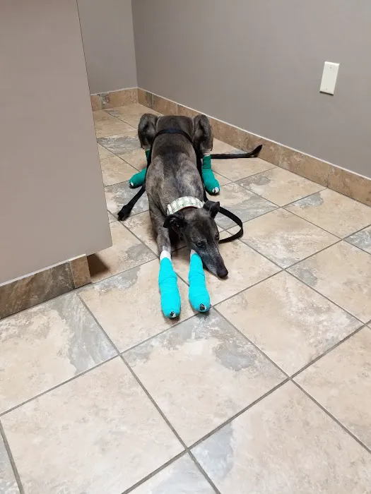Parkdale Pet Care 12