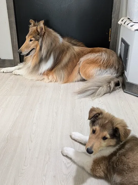 Woodview Veterinary Clinic 12