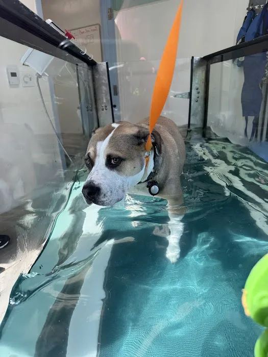 Best Friends Veterinary Center 12