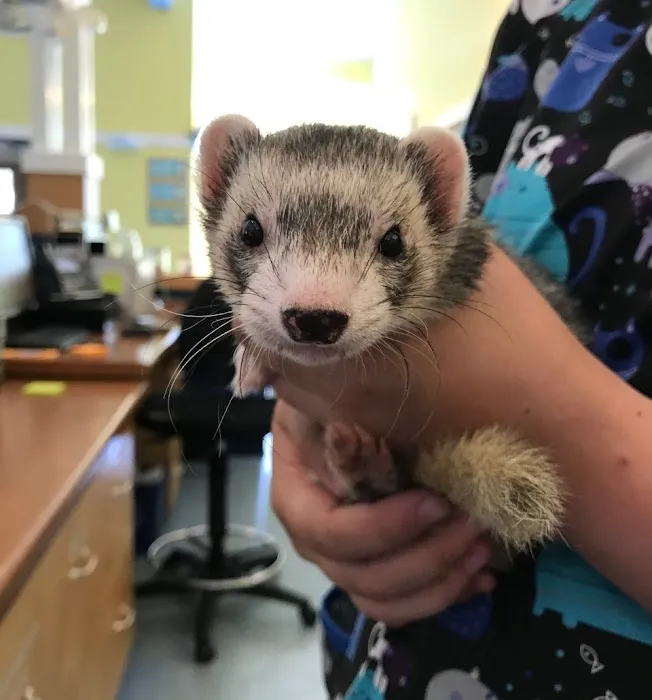 Best Friends Veterinary Center 12