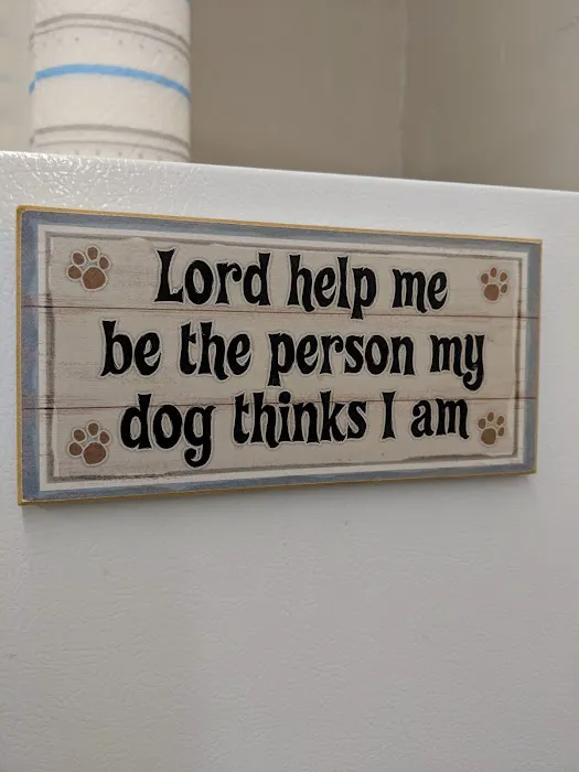 Willow Ridge Animal Hospital 12