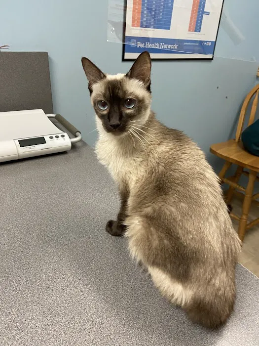 Willow Ridge Animal Hospital 12