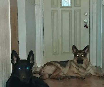 Brookside Veterinary Clinic
