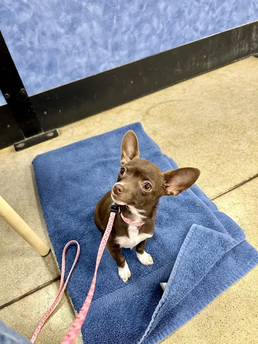Brookside Veterinary Clinic 12