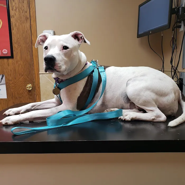 Brookside Veterinary Clinic 12