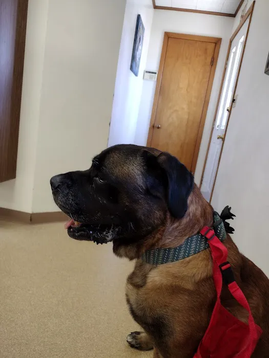 Companion Animal Clinic 12