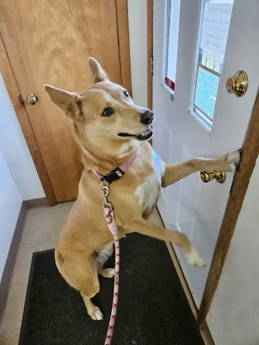 Companion Animal Clinic 12