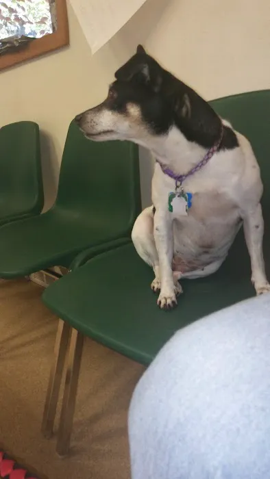 Companion Animal Clinic 12