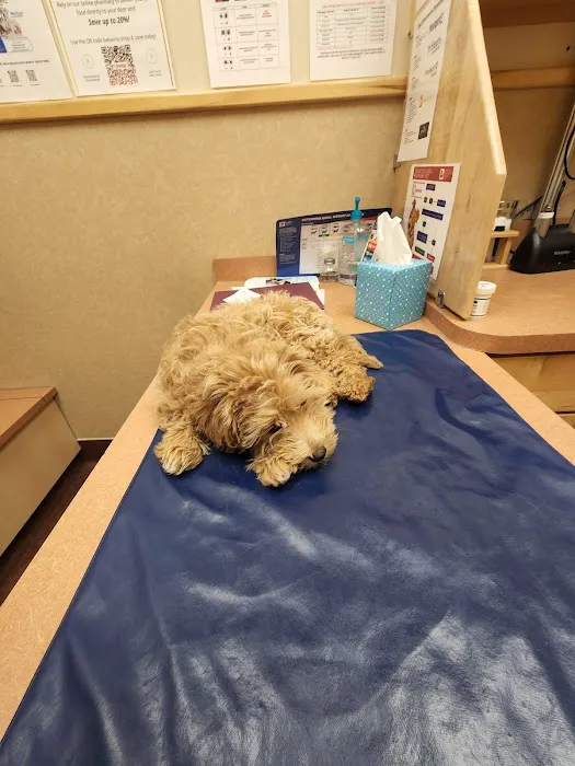 Dogwood Pet Hospital: Bushmeyer Sarah M DVM 12