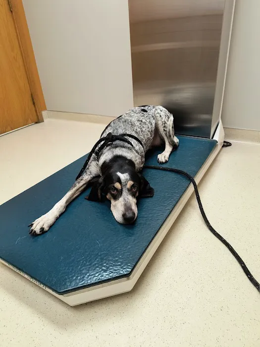 Frost Family Pet Clinic 12