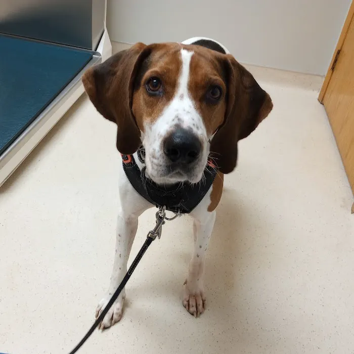 Frost Family Pet Clinic 12