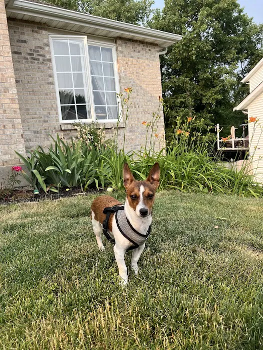 Frost Family Pet Clinic 12
