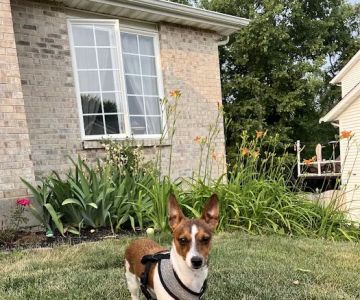Frost Family Pet Clinic